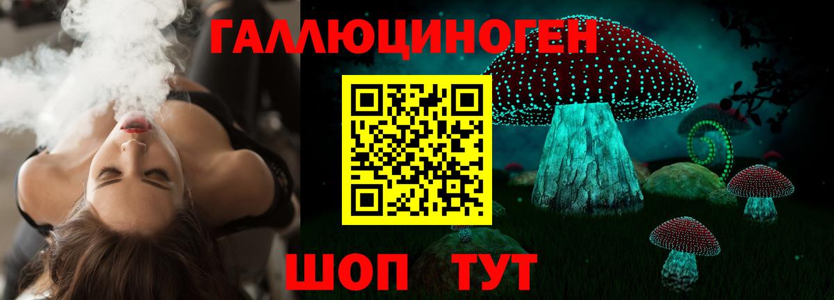 Галлюциногенные грибы прущие грибы Мичуринск